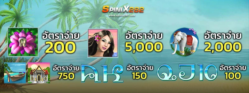 สัญลักษณ์การจ่ายเงินรางวัลในเกม Thai Paradise